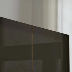 Glasfront-Schlafzimmerschrank in Dunkelbraun - Hung