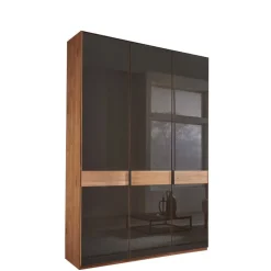 Glasfront-Schlafzimmerschrank in Dunkelbraun - Hung