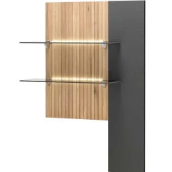 Hängepaneel mit zwei Glasböden & LED Licht - Cruzca