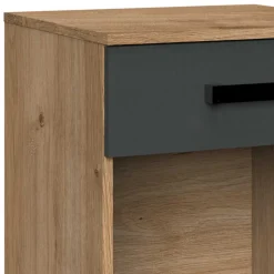 Jugendzimmer Möbel im Industry Style - Nilrem (fünfteilig)