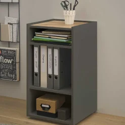 Kleines Ordnerregal in Anthrazit & Wildeiche Dekor - Ahilav