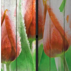 Kunstdruck Paravent Tulpen vor Holzwand - Filicudio