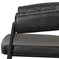 Kunstlederstühle in Schwarz - Austral (2er Set)