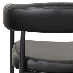 Kunstlederstühle in Schwarz - Austral (2er Set)