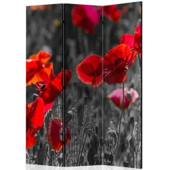 Mobiler Foto Raumtrenner mit Mohn Blumen Motiv - Conwy