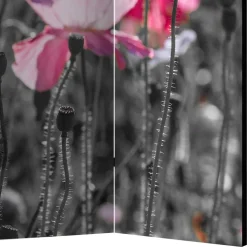 Mobiler Foto Raumtrenner mit Mohn Blumen Motiv - Conwy