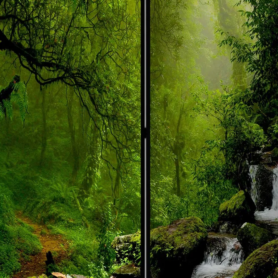 Naturmotiv Paravent Wald & Wasser - Rikuo