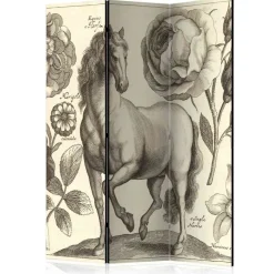 Nostalgie Paravent Pferd & Blumen - Ilea