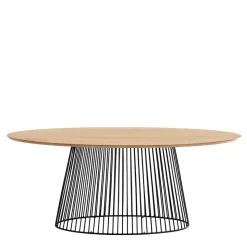 Ovaler Esstisch mit Eisen Drahtgestell - Rubins