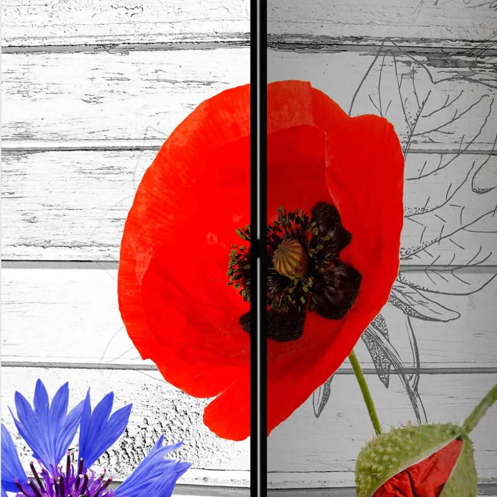 Paravent Klatschmohn & Kornblume - Aschau