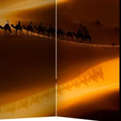 Paravent mit Foto Wüste mit Kamel Karavane - Lively