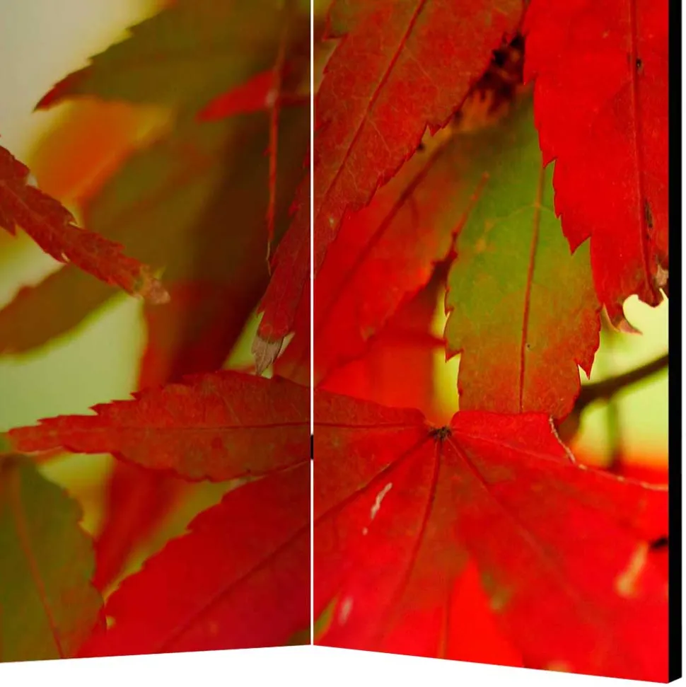 Paravent mit Fotodruck Fächerahorn Blätter - Kasaryn