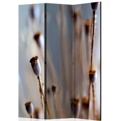 Paravent mit Fotoprint Mohn Samenkapseln - Porongo