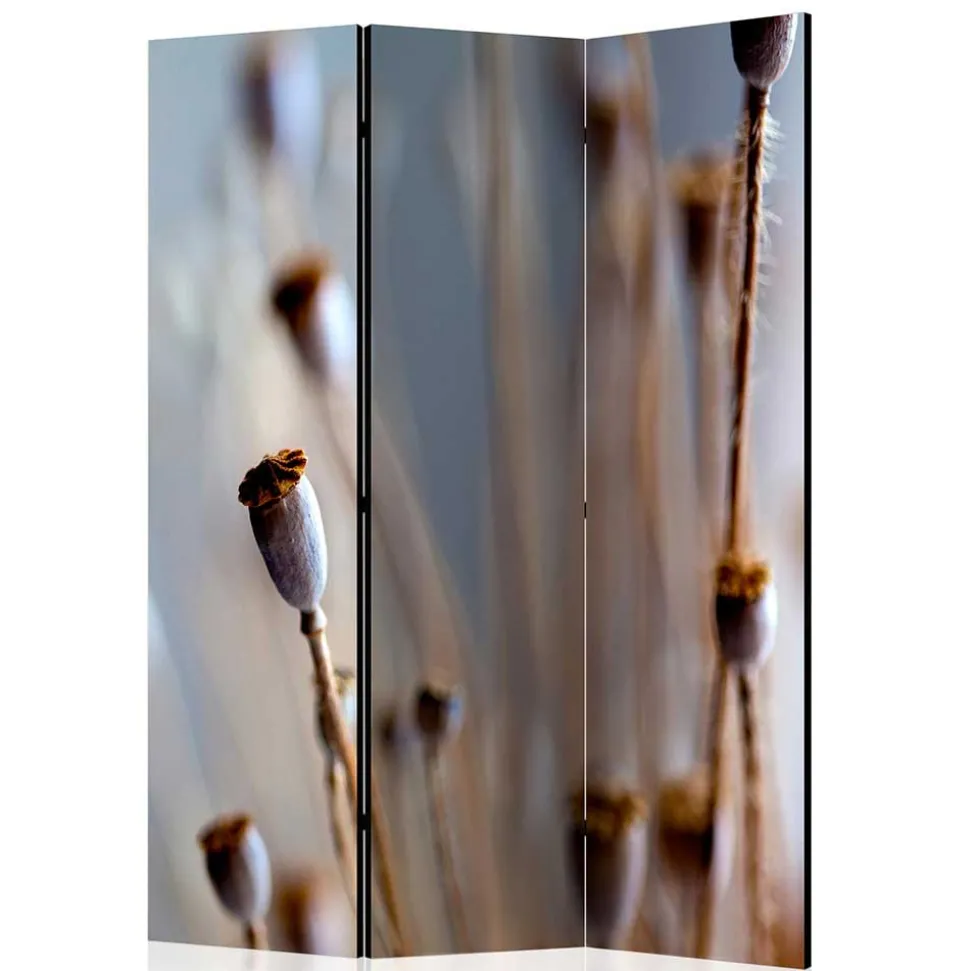 Paravent mit Fotoprint Mohn Samenkapseln - Porongo