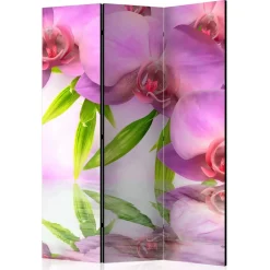 Paravent mit Orchideen Motiv - Grex