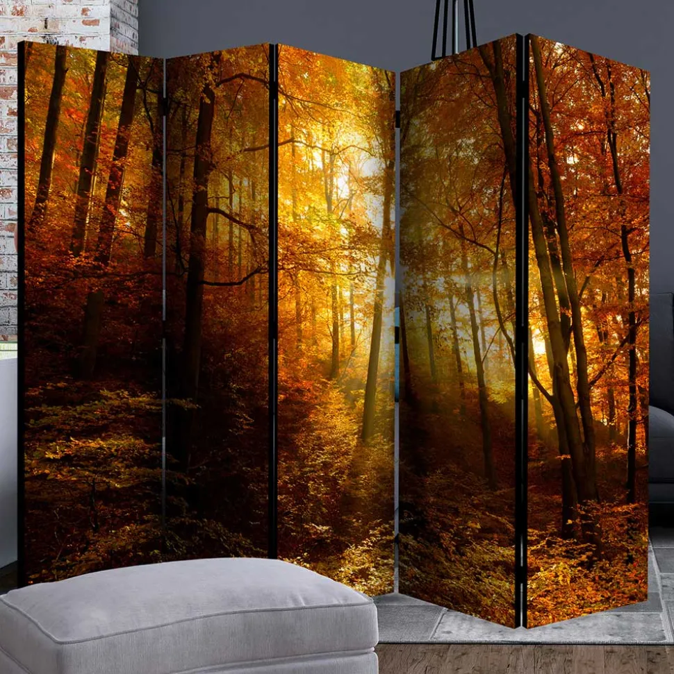 Paravent Trennwand Wald in Herbststimmung - Jemja