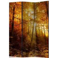 Paravent Trennwand Wald in Herbststimmung - Jemja