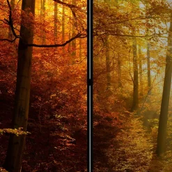 Paravent Trennwand Wald in Herbststimmung - Jemja