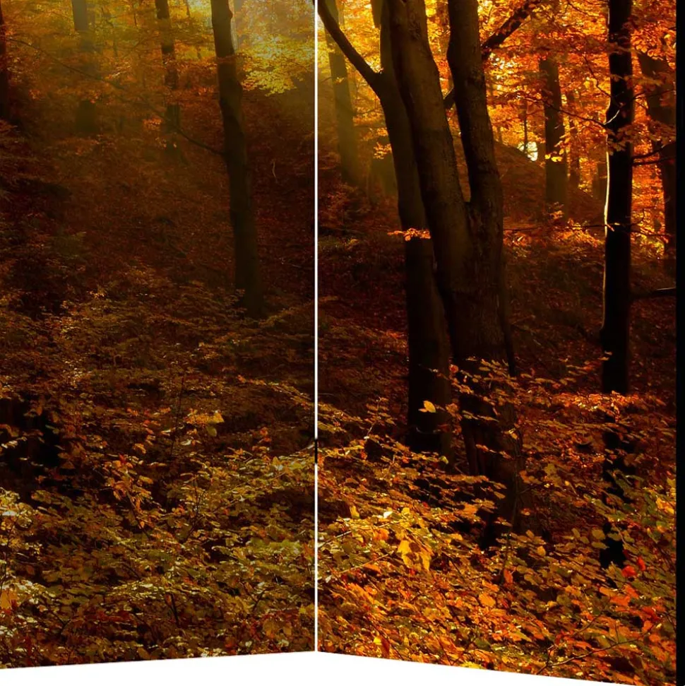 Paravent Trennwand Wald in Herbststimmung - Jemja