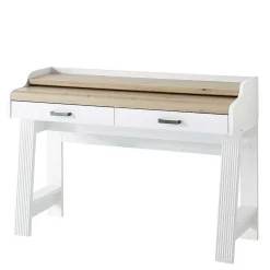 PC Schreibtisch & Rollcontainer - Mehady (zweiteilig)