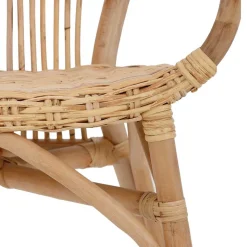 Rattan Esszimmerstuhl in Beige - Titian (2er Set)