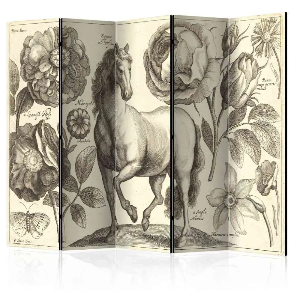 Retro Paravent mit Naturdarstellungen - Freedoms