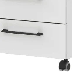 Rollcontainer in Lichtgrau - Halcoms