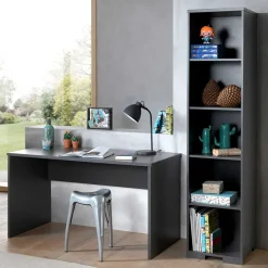 Schreibtisch & Regal im Set - Navlius (zweiteilig)