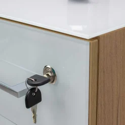 Schreibtisch & Rollcontainer & Schrank - Laszlo (dreiteilig)