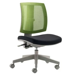 Schreibtisch Bürostuhl in Grün & Schwarz - Ocna