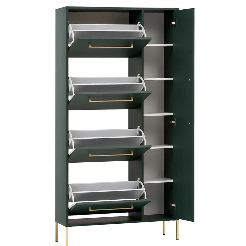 Schuhschrank in Dunkelgrün & Gold - Aqua