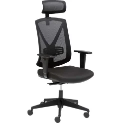 Schwarzer Schreibtischsessel mit Lordosenstütze - Drike