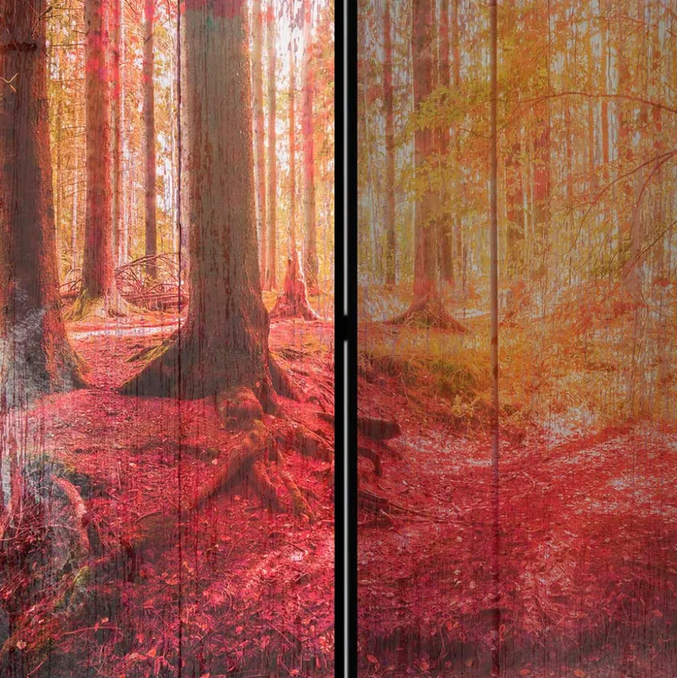 Spanische Trennwand mit Foto Herbstwald - Zither