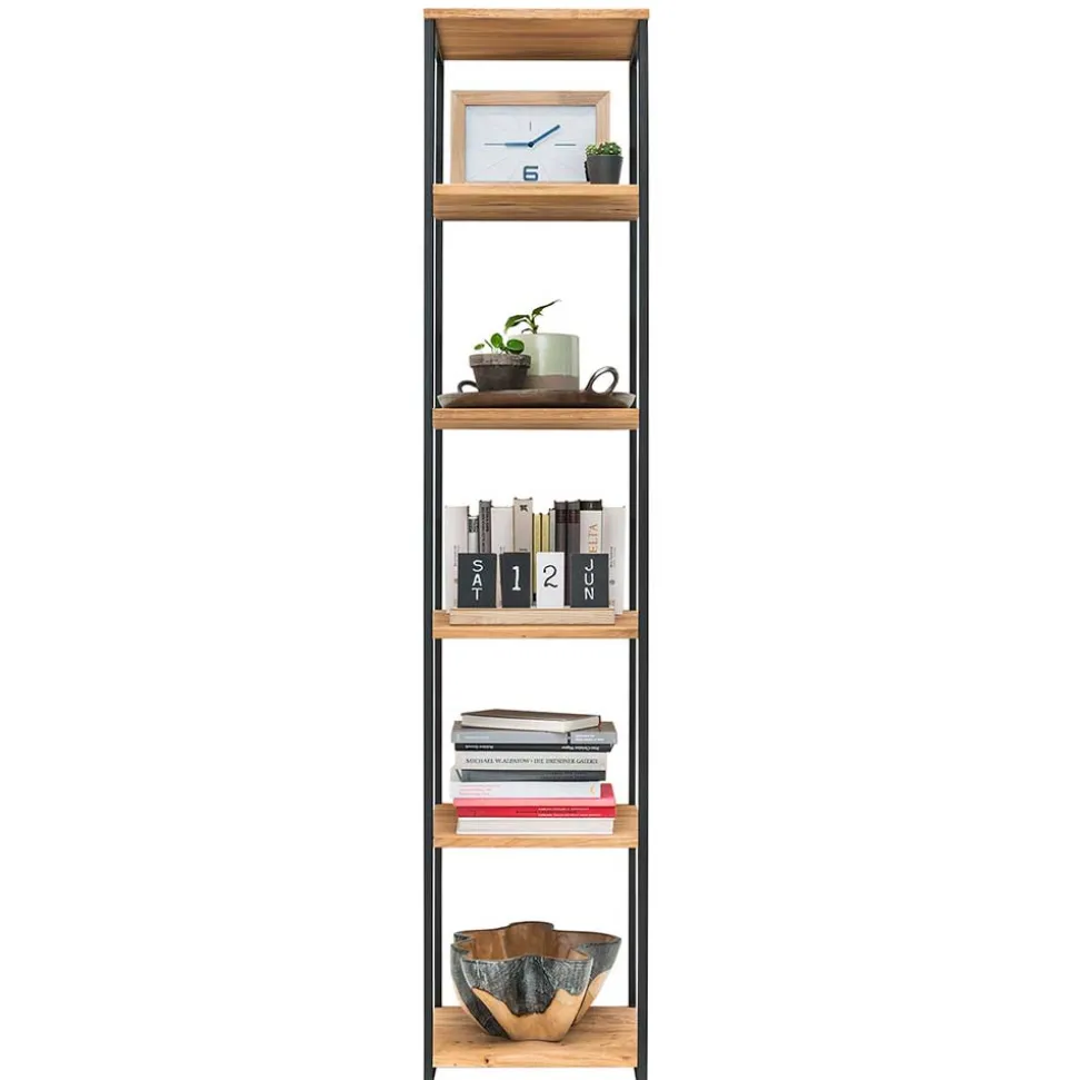 Stahl Regal mit 6 Wildeiche Böden - Sluganov