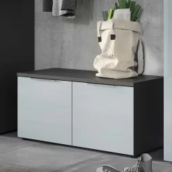 2-türige Schuhbank in Silbergrau Glas - Ilfred