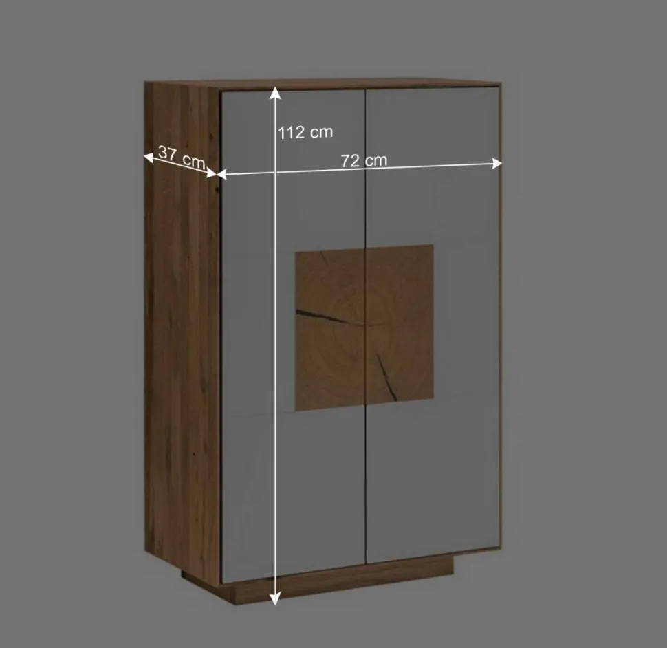 2-türige Schuhkommode in Anthrazit Glas - Mandrey