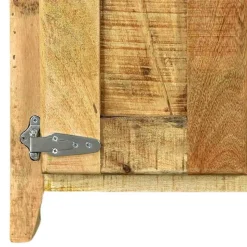 2-türiger Design Dielenschrank aus Mangobaum - Suennas