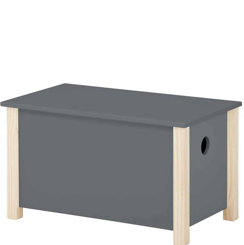 Truhe mit flachem Deckel - Bradley