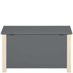 Truhe mit flachem Deckel - Bradley