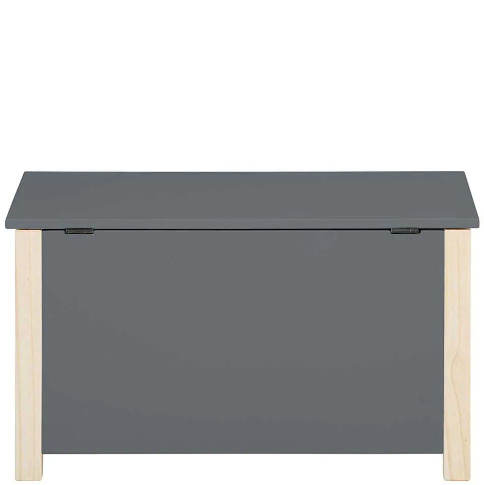 Truhe mit flachem Deckel - Bradley