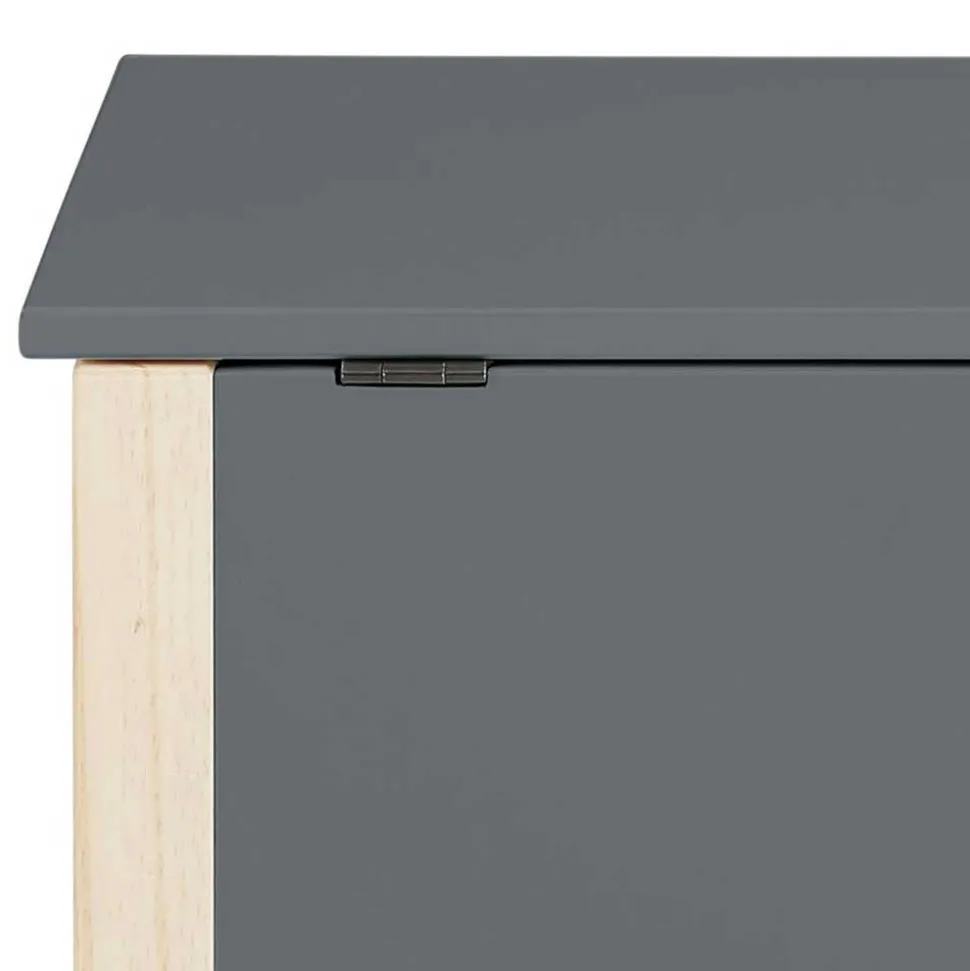 Truhe mit flachem Deckel - Bradley