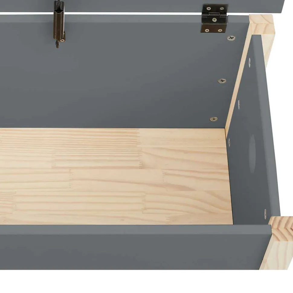 Truhe mit flachem Deckel - Bradley