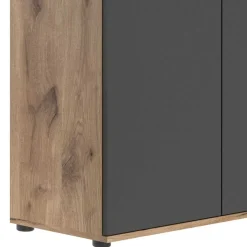 Vertiko Schuhkommode in Wildeiche NB & Grau - Depart