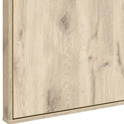 Wandgarderobe mit Spiegel in Wildeiche Optik - Vapposia