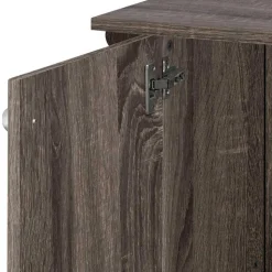 Waschbeckenunterschrank in Eiche Grau Holz Dekor - Fionora