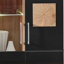 Wohnwand in Schwarz & Wildeiche - Kandu (fünfteilig)