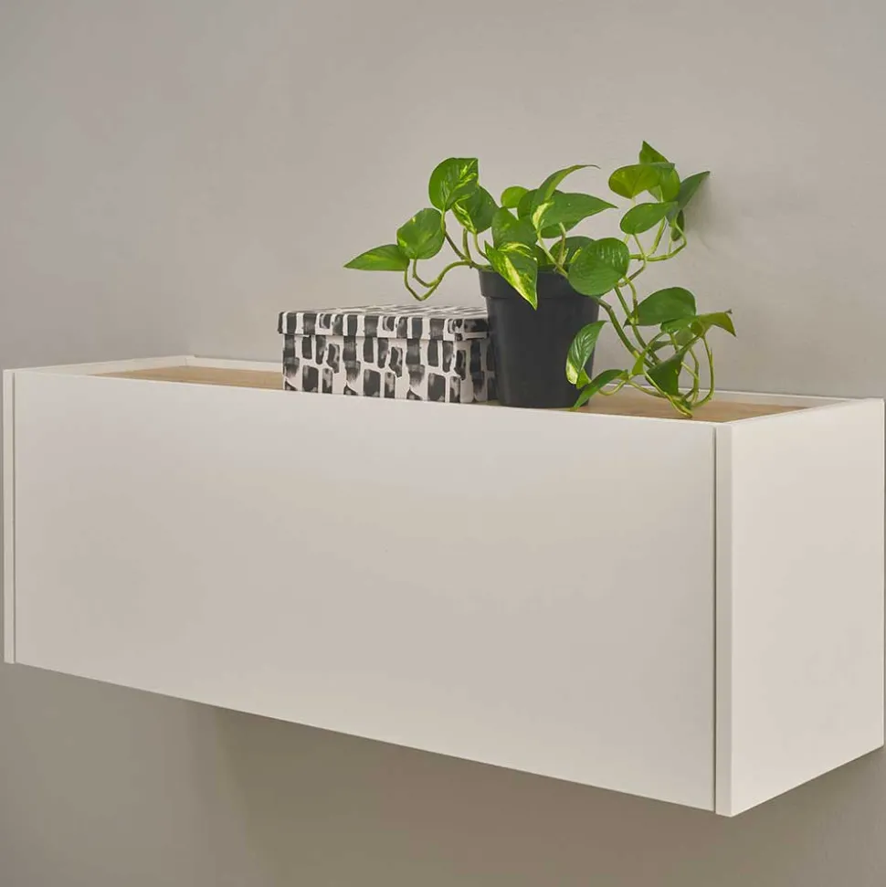 Wohnzimmer Hängeschrank 100x35x30 cm - Nonessia