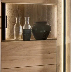 Wohnzimmer Vitrine aus Asteiche mit Metall - Clenza I