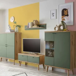 Wohnzimmerschränke & Regal in Graugrün - Oliva (vierteilig)