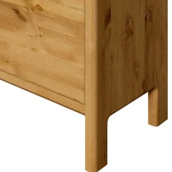 98x48x34 2 Schubladen Kommode aus Kiefer - Etvina